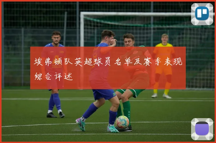 埃弗顿队英超球员名单及赛季表现综合评述